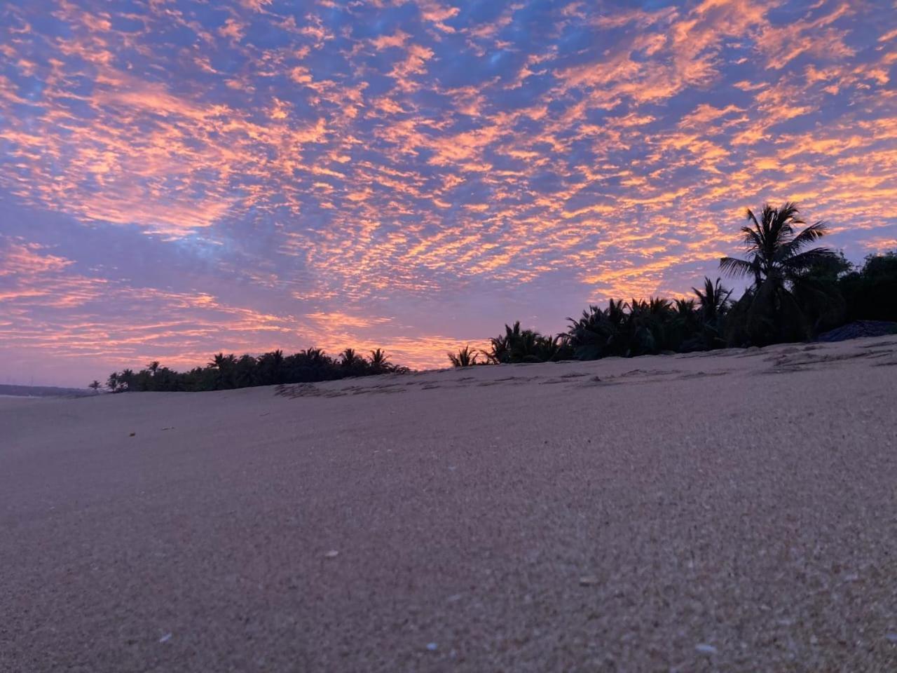 Neem Jay Beach Resort Tangalle Eksteriør bilde